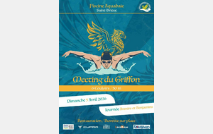 Meeting du griffon à St Brieuc